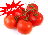 Томаты на ветке                Цена за 1 кг.  140 руб.
