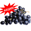 Виноград Молдова                            Цена за 1 кг. 155 руб.